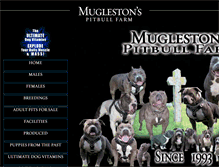 Tablet Screenshot of muglestonspitbullfarm.com